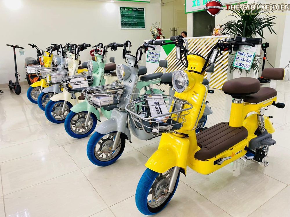 Biện pháp xử lý lỗi khi pin sạc đầy nhưng xe lại nhanh hết pin - Người đi xe điện cần nắm